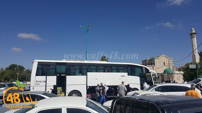 Mo3tmren lud ramla (16).jpg